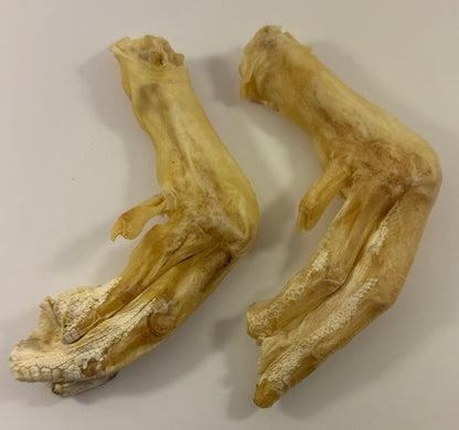 Duck Feet