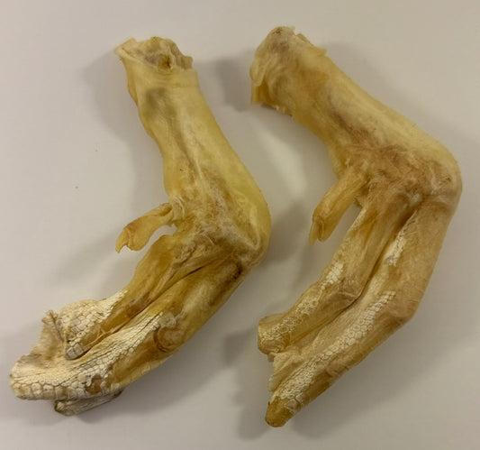Duck Feet