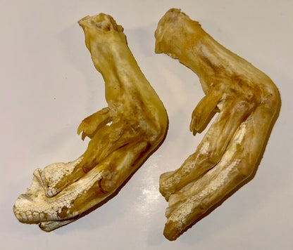Duck Feet Dog Treats - Joint Support & Novel Protein